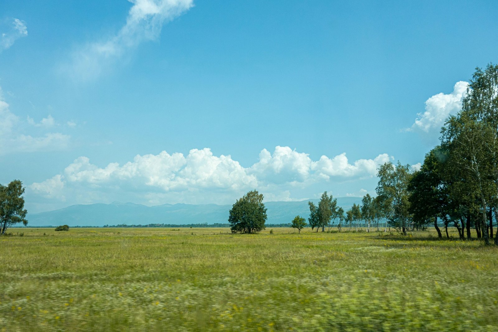 Why Land Remains the Smartest Investment in Nigeria